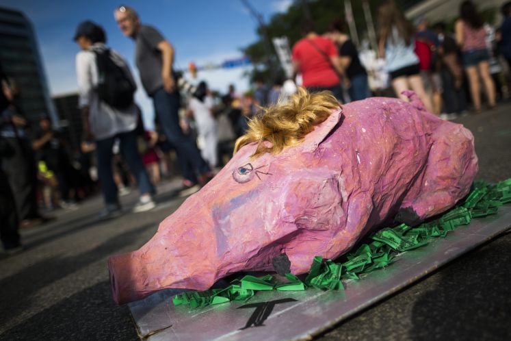 Pappmaché-Schwein mit Trump-Frisur