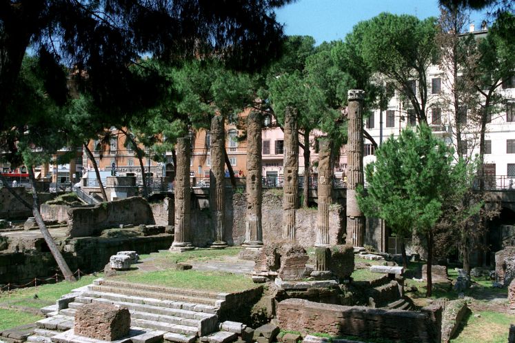 Ruinen des Republikanischen Forums in Rom