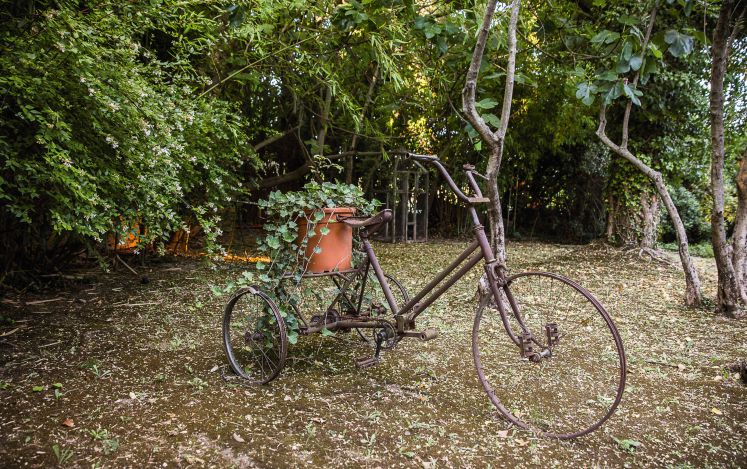Ein altes Dreirad steht in einem grünen Garten
