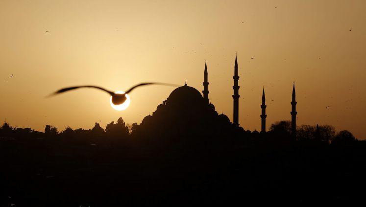Eine Möwe fliegt in den Sonnenuntergang hinter der Blauen Moschee in Istanbul 