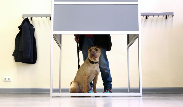 Frau mit Hund in einer Wahlkabine
