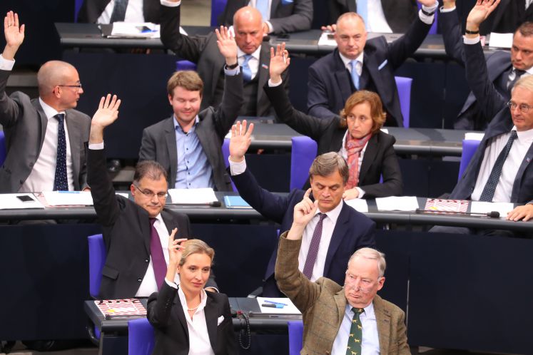 Die Abgeordneten der neuen AfD-Bundestagsfraktion