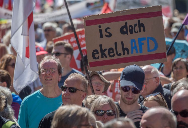 Gegner der AfD gehen am 19. August in Wiesbaden gegen die partei auf die Straße 