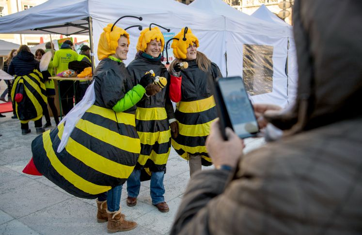 31.01.2019, Bayern, München: Drei Aktivistinnen vom Bund Naturschutz stehen während der Kundgebung zum Volksbegehren Rettet die Bienen in einem Bienenkostüm auf den Marienplatz und werden von Passanten fotografiert. 