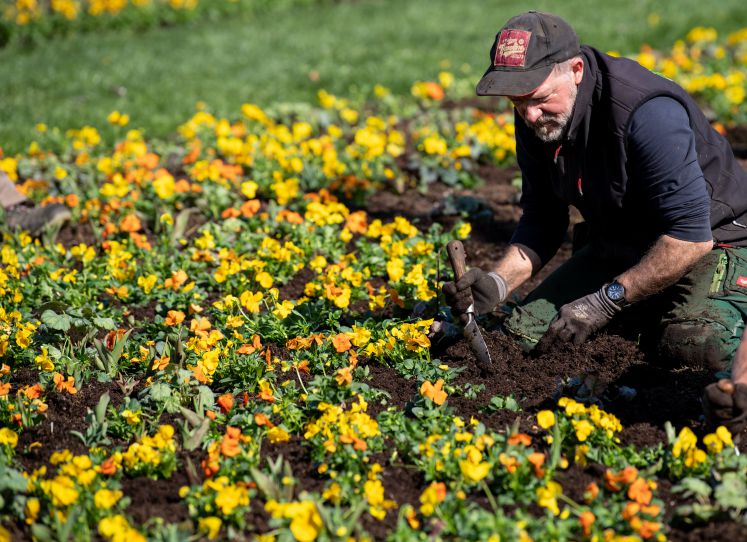 Ein Arbeiter pflanzt auf dem Gelände der Bundesgartenschau Heilbronn vier Wochen vor Eröffnung Blumen. Die Bundesgartenschau öffnet am 17. April.