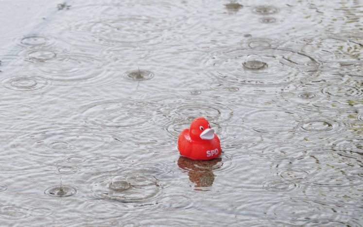 Eine Plastikente mit der Aufschrift SPD in einer Regenpfütze