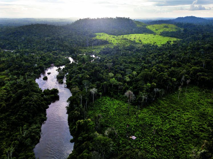 Bild vom Amazonas