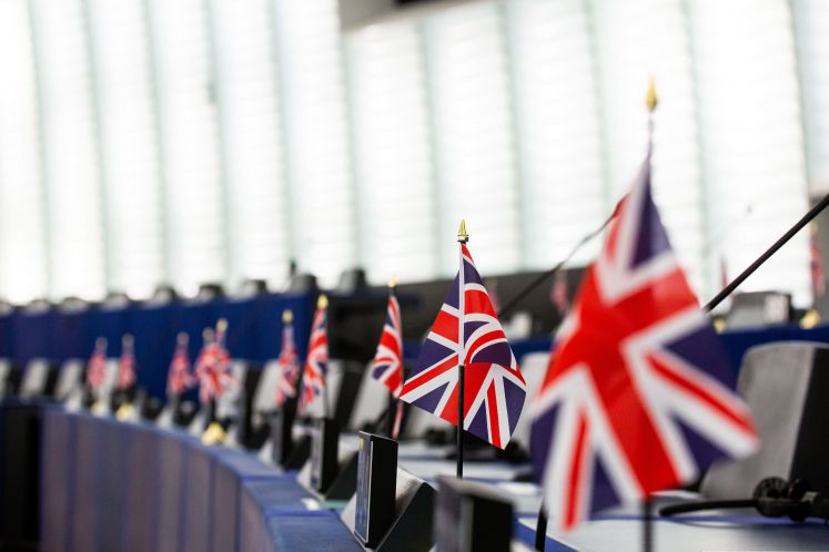 Die Fahnen der Brexit-Partei im EU-Parlament 