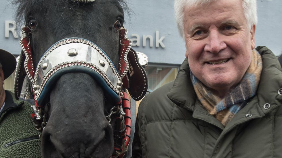 Horst Seehofer und ein Pferd