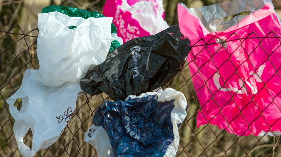 Viele weggeworfene Plastiktüten haben sich durch den Wind in einem Zaun in Frankfurt (Oder) (Brandenburg) verfangen, aufgenommen am 03.03.2015. Plastiktüten schwimmen auf dem Meer oder liegen und hängen herum - und schaden der Umwelt enorm.