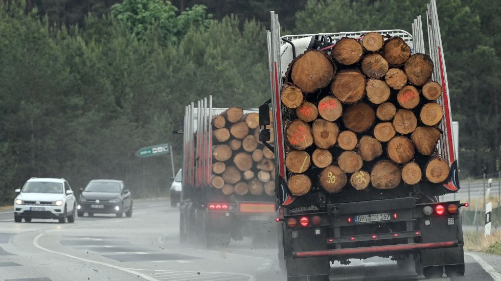 LKW beladen mit Baumstämmen