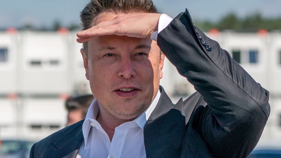 Visionär und Twitter-Chef Elon Musk / dpa 